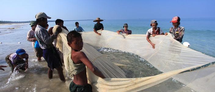 A group of fishermen haul in a net full of fish from the ocean.
