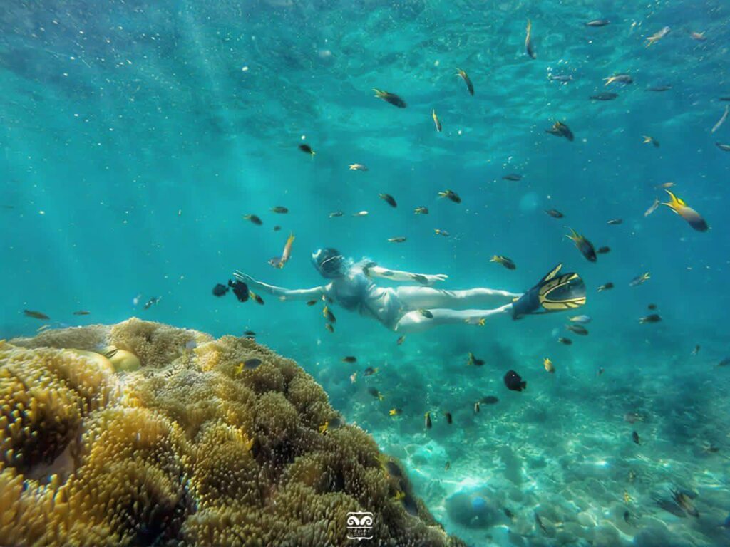 A person snorkels in clear blue water surrounded by colorful coral and a school of fish.